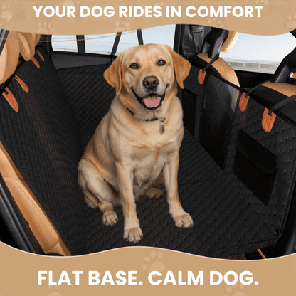 PawRide Everyday Bundle