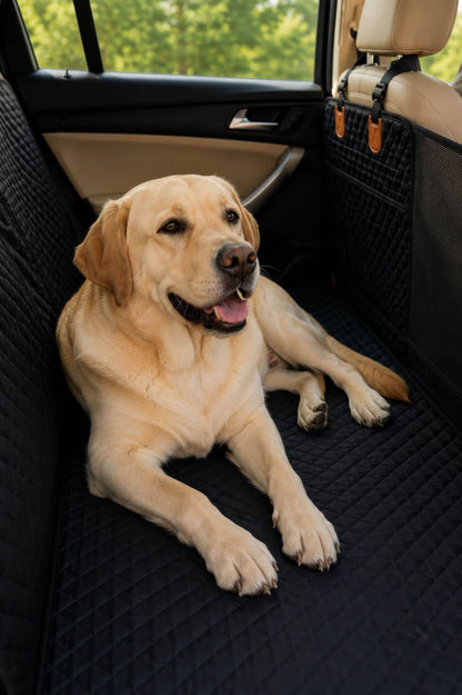 PawRide™ Premium Hard-Bottom Car Back Seat Cover Extender Protector